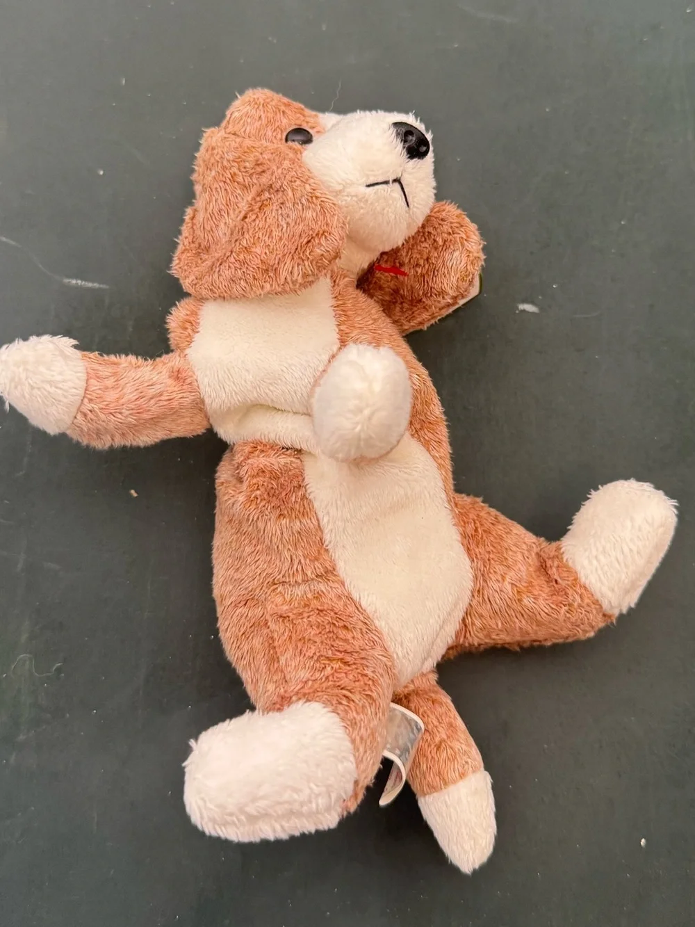 New With Tags TY Beanie Boos - Rainbow Chameleon and Sniffer Dog
